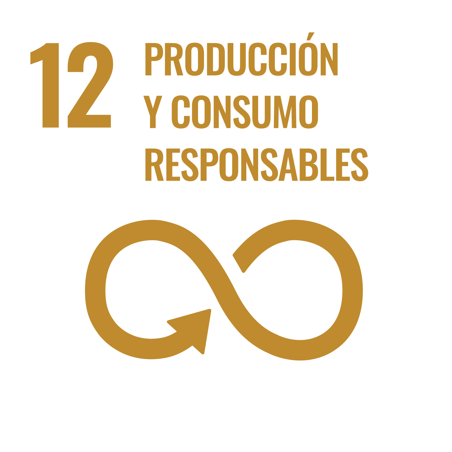 12. Producción y consumo responsables